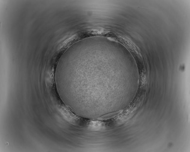 X0000099530376200805161217