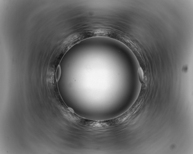 X0000099530379200805161217