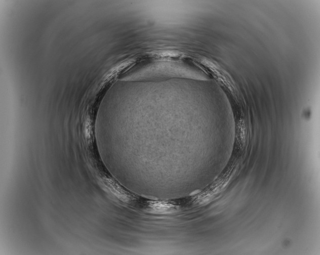 X0000099530380200805161217