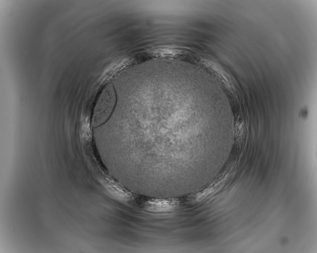 X0000099530381200805161217