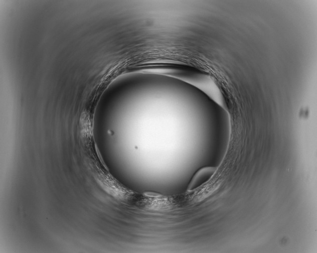 X0000099530384200805161217