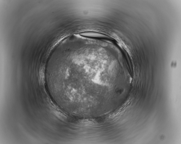 X0000099530386200805161217