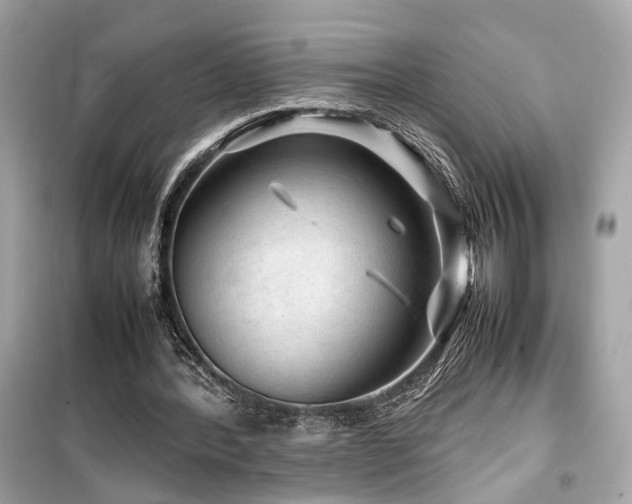X0000099530388200805161217