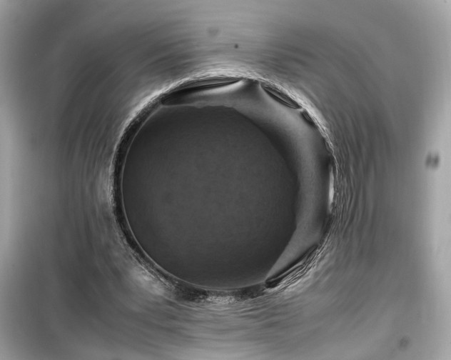 X0000099530391200805161216