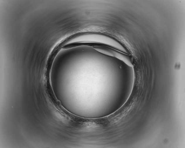 X0000099530392200805161216