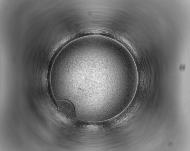 X0000099530394200805161216