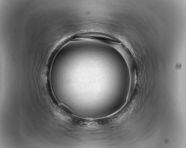 X0000099530395200805161216