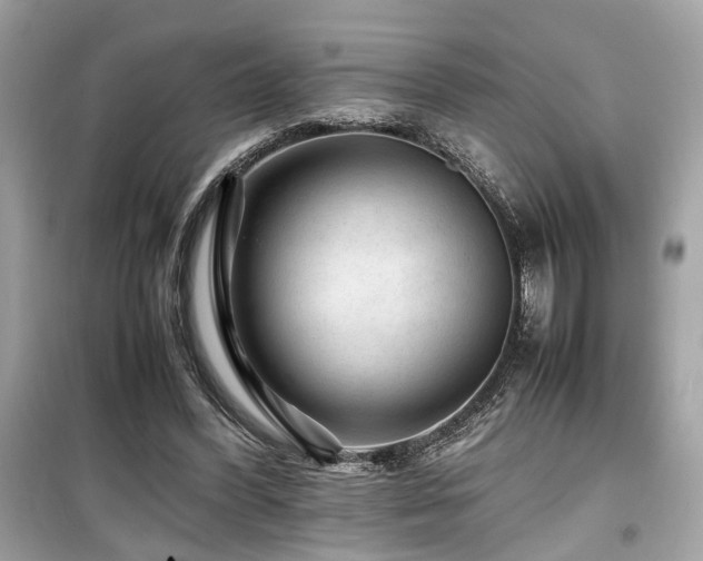 X0000099530396200805161216