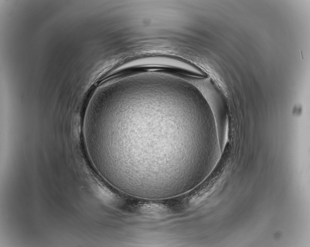 X0000099530397200805161216