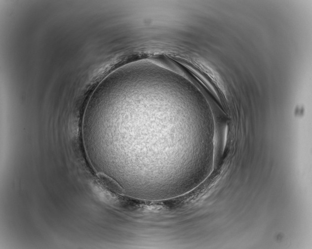 X0000099530401200805161216