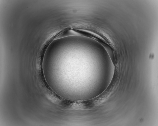 X0000099530403200805161216