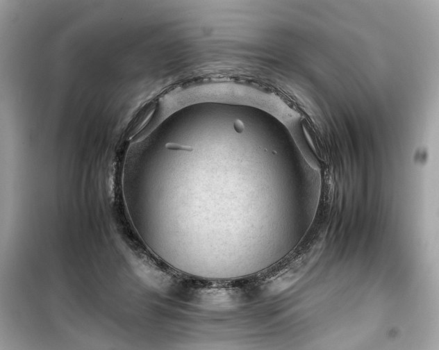 X0000099530404200805161216