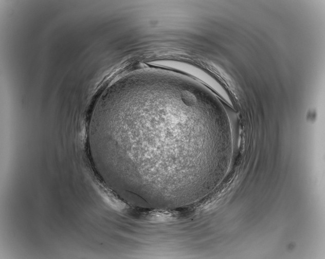 X0000099530405200805161216