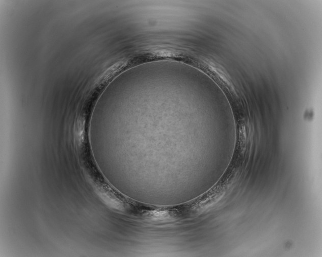 X0000099530406200805161216