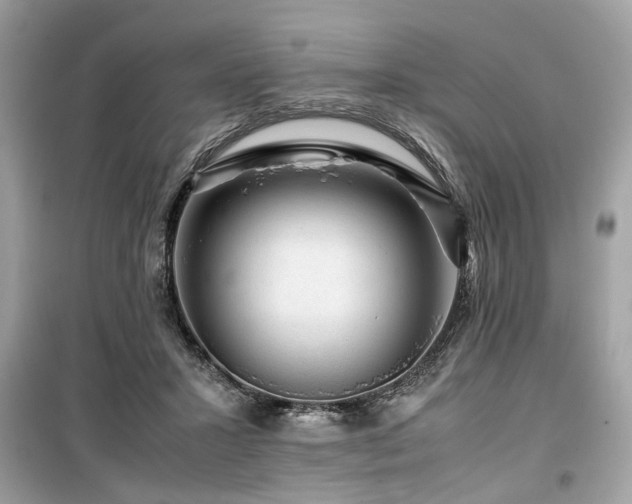 X0000099530407200805161216