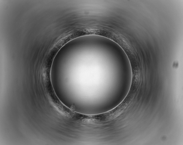 X0000099530408200805161216