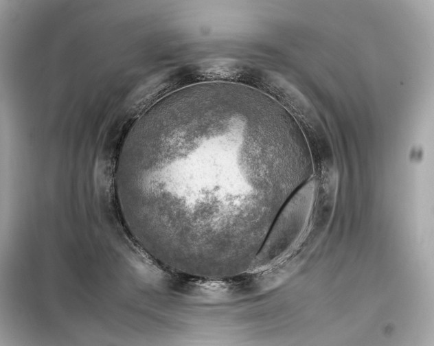 X0000099530409200805161216