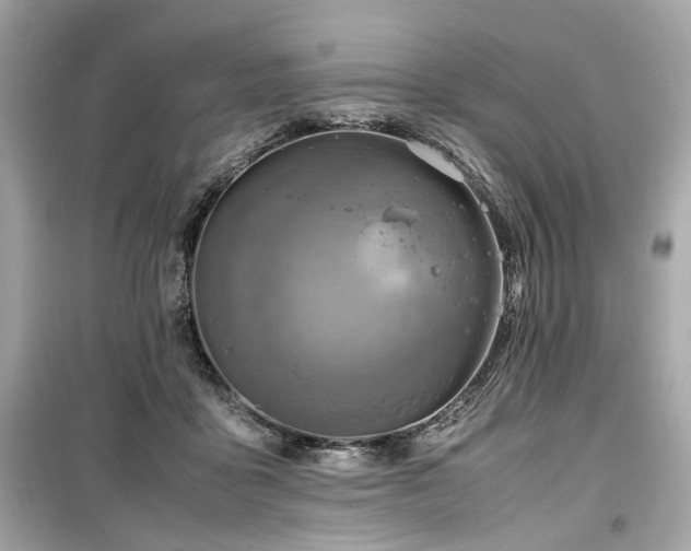 X0000099530411200805161216