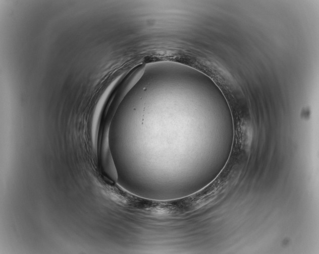 X0000099530412200805161216