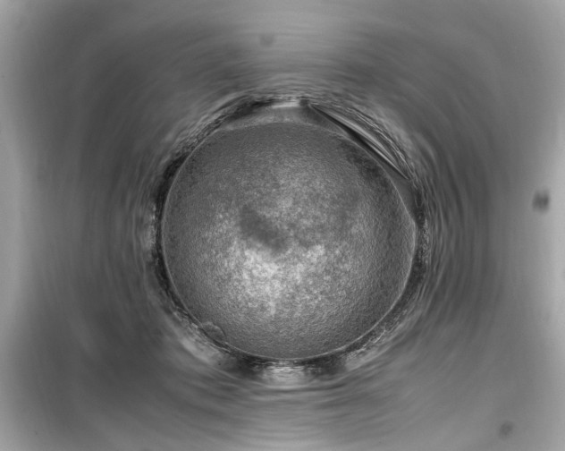 X0000099530413200805161216