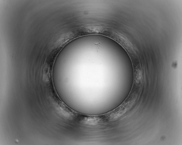 X0000099530414200805161216
