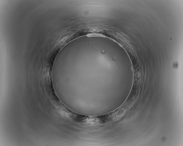 X0000099530415200805161216