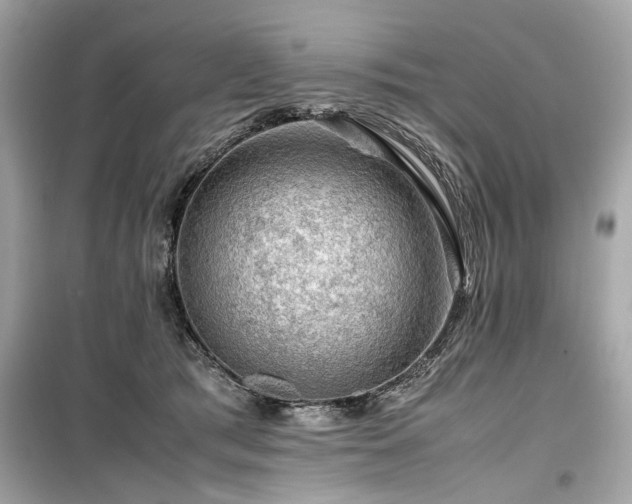 X0000099530417200805161216