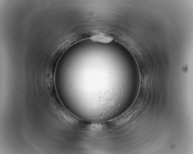 X0000099530418200805161216