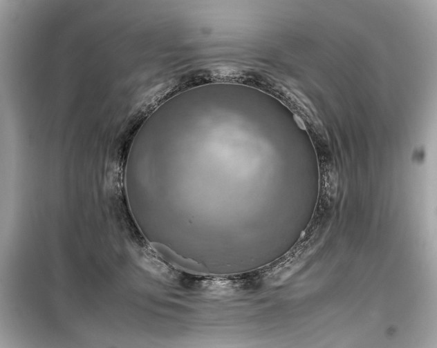 X0000099530419200805161216