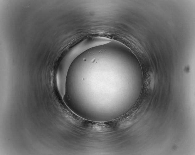 X0000099530420200805161216