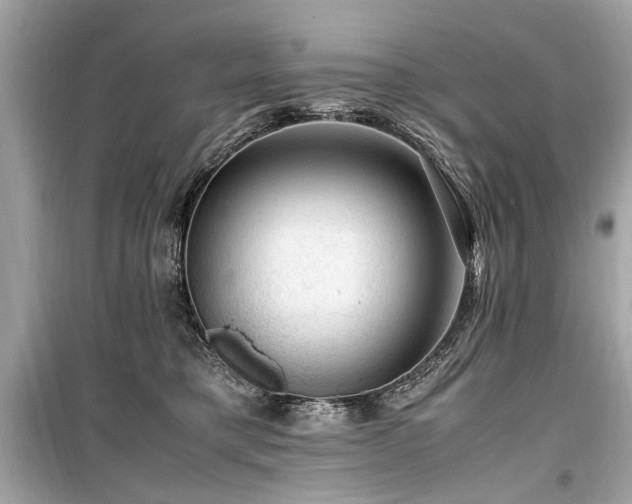 X0000099530421200805161216