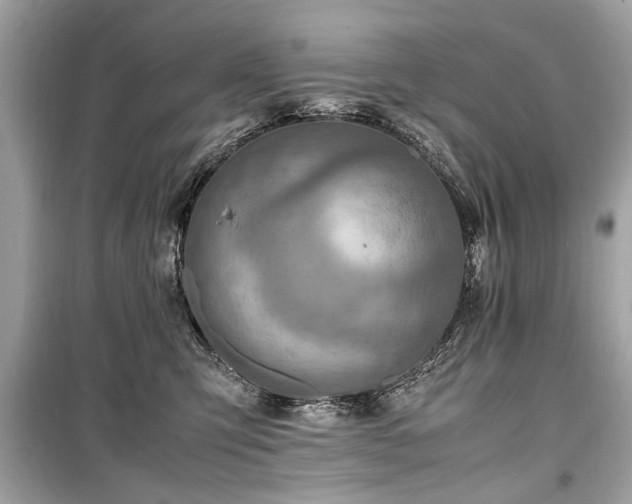 X0000099530423200805161216