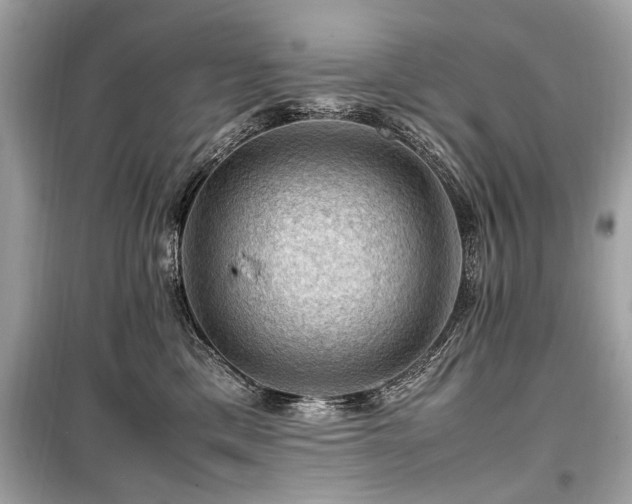 X0000099530425200805161216