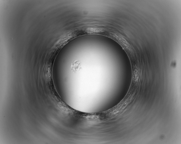 X0000099530426200805161216