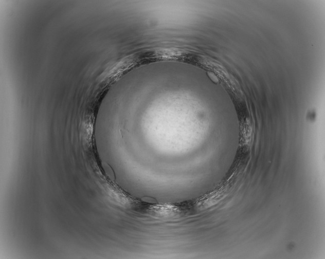 X0000099530427200805161216