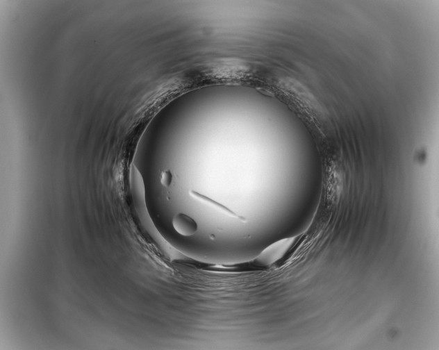 X0000099530428200805161216