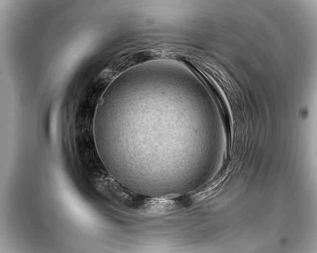 X0000099530429200805161216