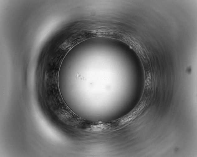 X0000099530430200805161216