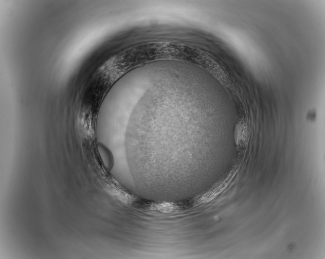 X0000099530431200805161216