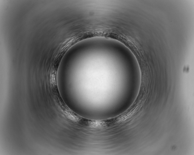 X0000099530432200805161216