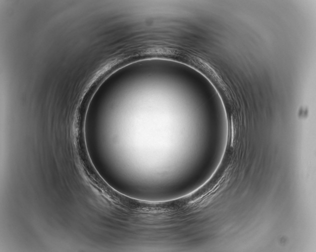 X0000099530435200805161215