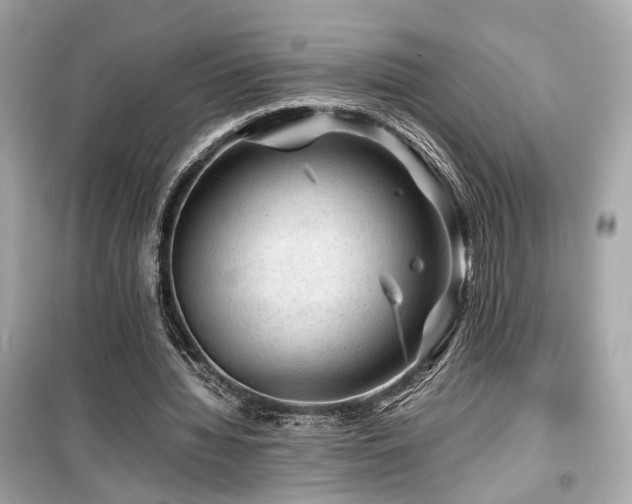 X0000099530436200805161215