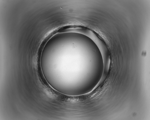 X0000099530440200805161215