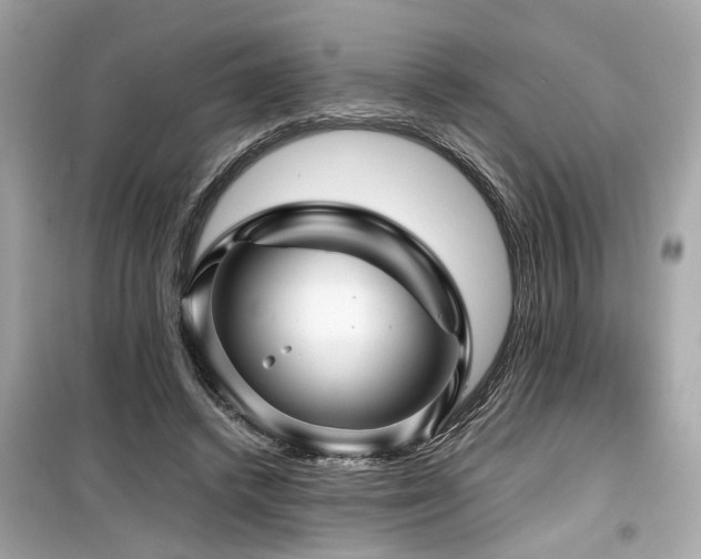 X0000099530448200805161215