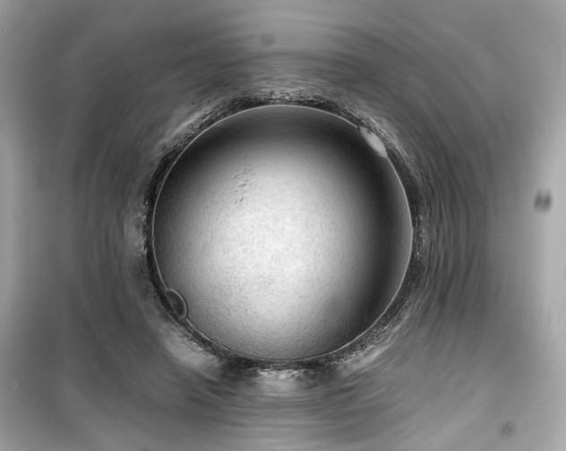 X0000099530450200805161215