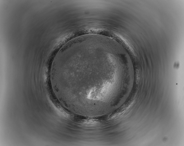 X0000099530451200805161215