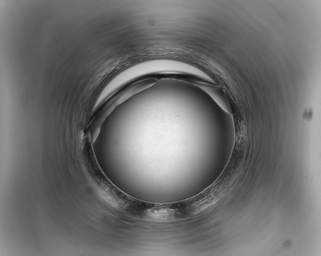 X0000099530452200805161215