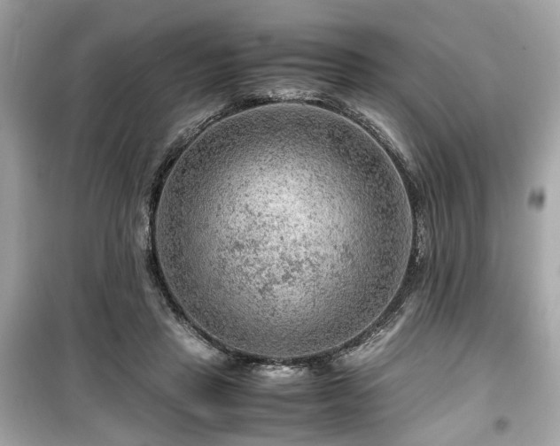 X0000099530453200805161215