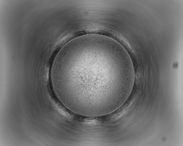X0000099530454200805161215