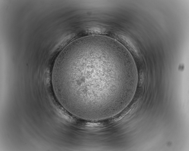 X0000099530457200805161215